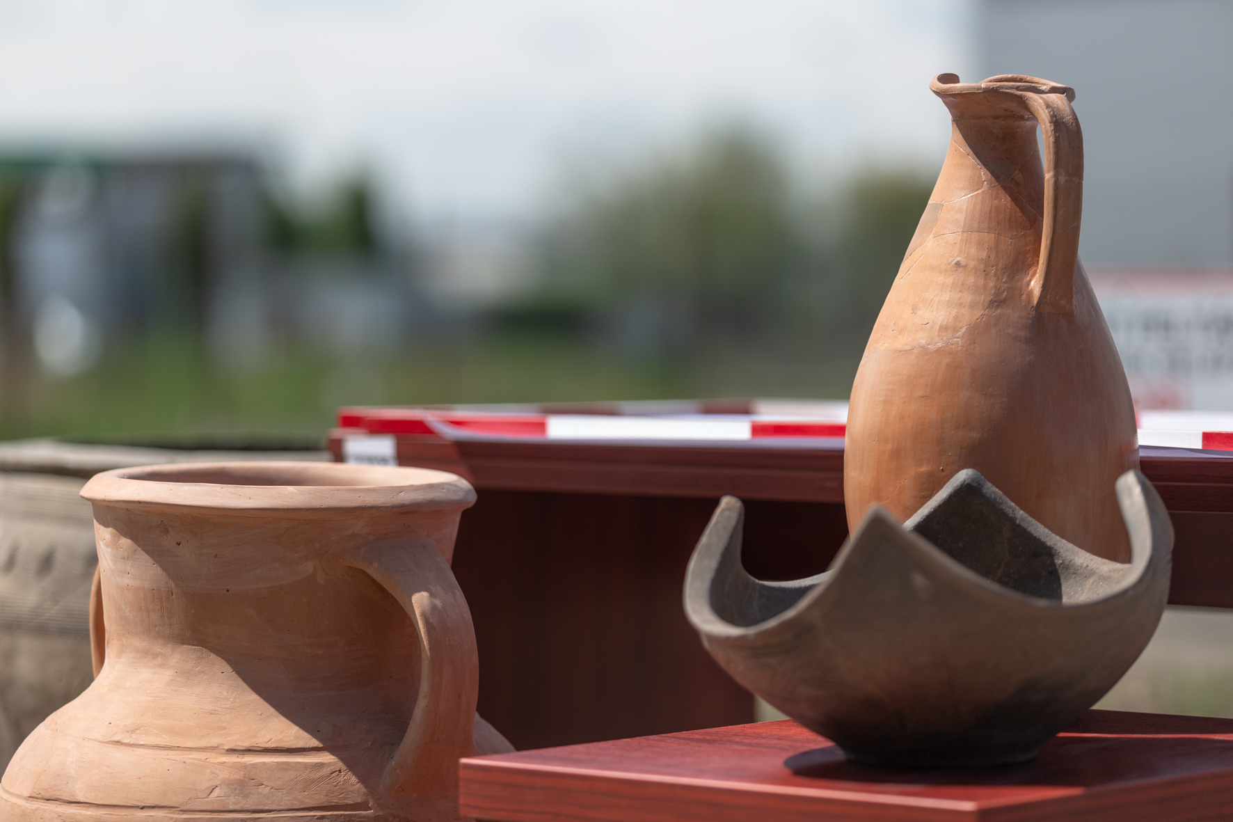 image-main
